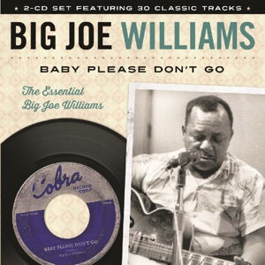 Big Joe Williams-baby Please Don't Go - Big Joe Williams - Music -  - 0030206201420 - 