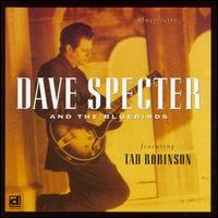 Cover for Specter, Dave &amp; Bluebirds · Blueplicity (CD) (1990)