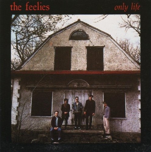 Cover for Feelies · Feelies-only Life (CD)