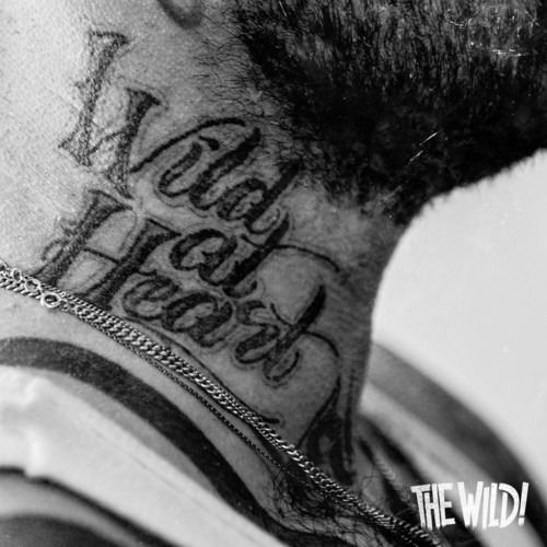 Cover for Wild · Wild at Heart (CD) (2017)