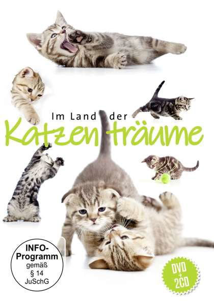 Im Land Der Katzenträume - Relaxation & Chill - Film -  - 0194111007420 - 19. marts 2021