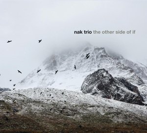 Nak Trio · Other Side Of If (CD) (2015)
