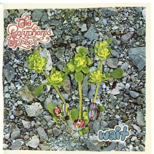 Wait - The Polyphonic Spree - Music - Good Records - 0634457180420 - February 20, 2007