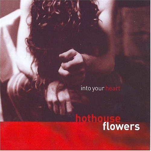 Cover for Hothouse Flowers · Into Your Heart (CD) (2004)