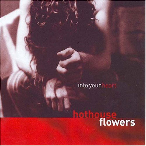 Cover for Hothouse Flowers · Into Your Heart (CD) (2004)