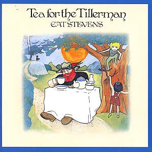 Cover for Cat Stevens · Tea for the Tillerman (CD) [Remastered edition] (2000)