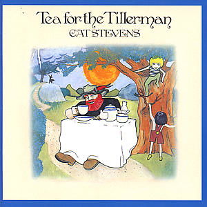 Tea for the Tillerman - Cat Stevens - Musique - ISLAND - 0731454688420 - 31 octobre 2000