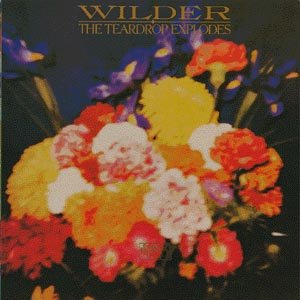 The Teardrop Explodes - Wilder - Musique - POL - 0731454828420 - 9 décembre 2009