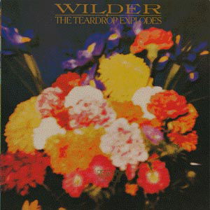 The Teardrop Explodes - Wilder - Música - POL - 0731454828420 - 9 de diciembre de 2009