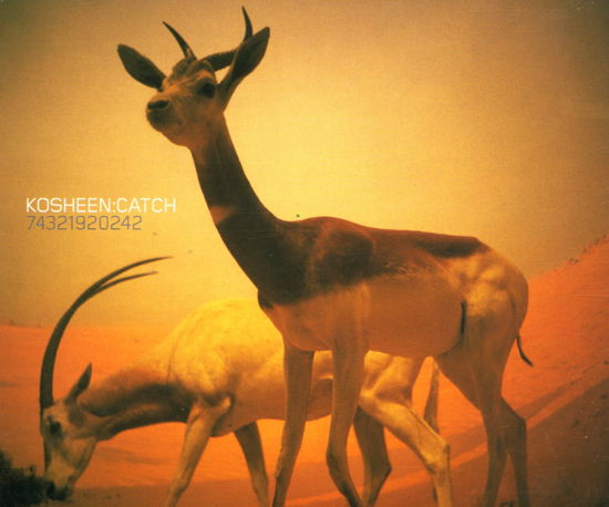Cover for Kosheen · Catch -cds- (CD)