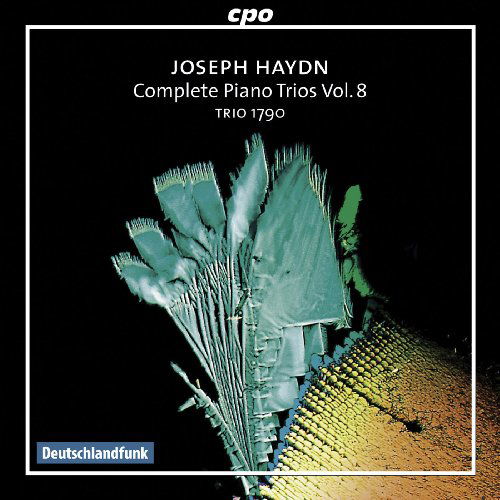 Complete Piano Trios 8 - Haydn / Trio 1790 - Music - CPO - 0761203724420 - August 25, 2009