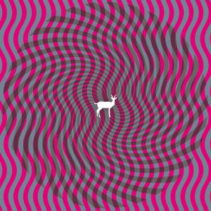 Cryptograms - Deerhunter - Musique - KRANKY RECORDS - 0796441810420 - 19 février 2007