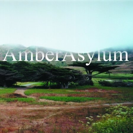 Cover for Amber Asylum · The Supernatural Parlour Collection (2cd Digipak) (CD) [Digipak] (2016)