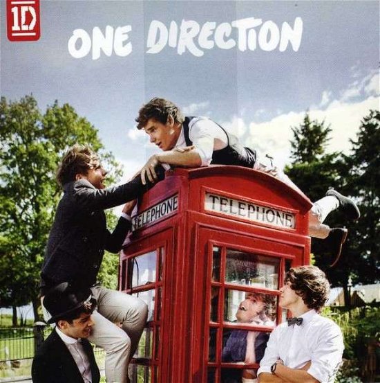 Take Me Home - One Direction - Musikk - SONY - 0887254396420 - 20. november 2012