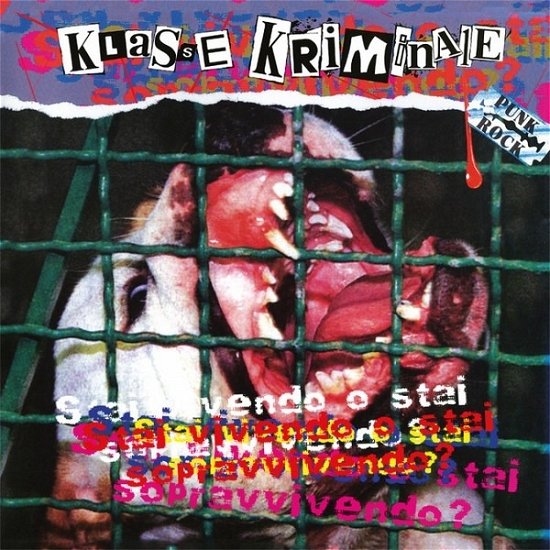 Cover for Klasse Kriminale · Stai Vivendo O Stai Sopravvivendo? (LP) (2020)