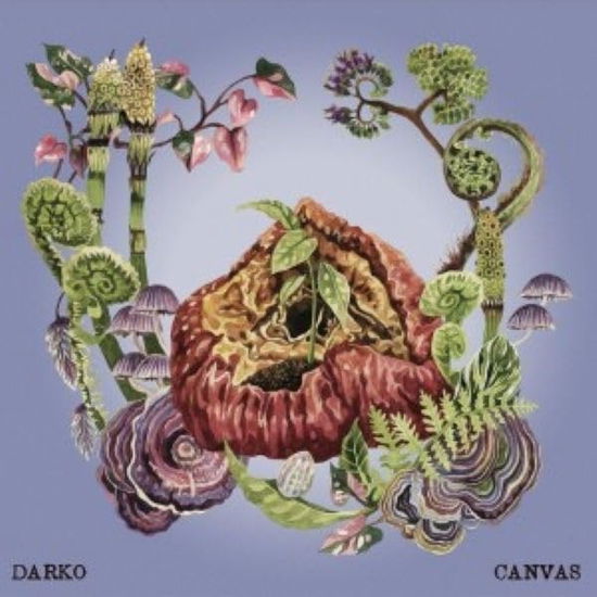 Cover for Darko · Canvas (LP) [EP edition] (2025)