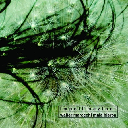 Impollinazioni - Walter Marocchi Mala Hierba - Music - Ultra Sound - 8033378150420 - 