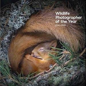 Cover for Wildlife Photographer of the Year: Pocket Diary 2024 (Hardcover Book) (2023)