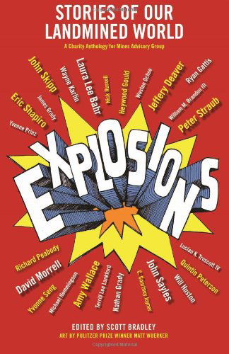 Cover for Amy Wallace · Explosions: Stories of Our Landmined World (Pocketbok) (2014)