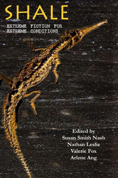 Cover for Texture Press · Shale: Extreme Fiction for Extreme Conditions (Paperback Book) (2015)