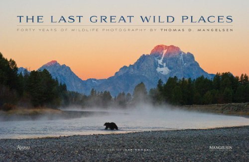 The Last Great Wild Places: Forty Years of Wildlife Photography by Thomas D. Mangelsen - Thomas D. Manglesen - Books - Rizzoli International Publications - 9780789327420 - October 21, 2014