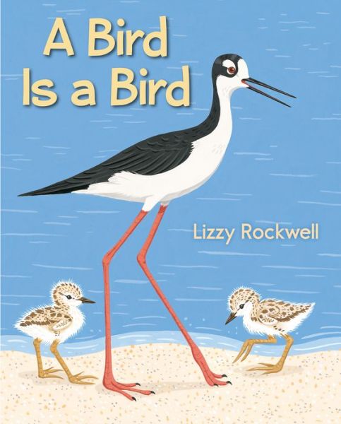 Cover for Lizzy Rockwell · A Bird is a Bird (Hardcover Book) (2015)