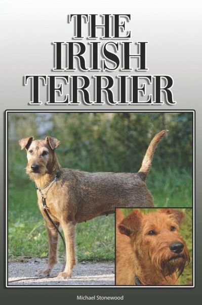 Cover for Michael Stonewood · The Irish Terrier : A Complete and Comprehensive Owners Guide to (Paperback Book) (2019)