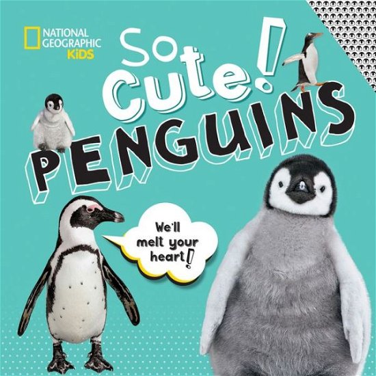 Cover for National Geographic Kids · So Cute: Penguins (Hardcover Book) (2020)