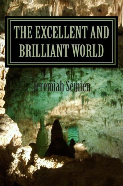 Cover for Jeremiah Semien · The Excellent and Brilliant World: the Mind of Jeremiah (Taschenbuch) (2012)