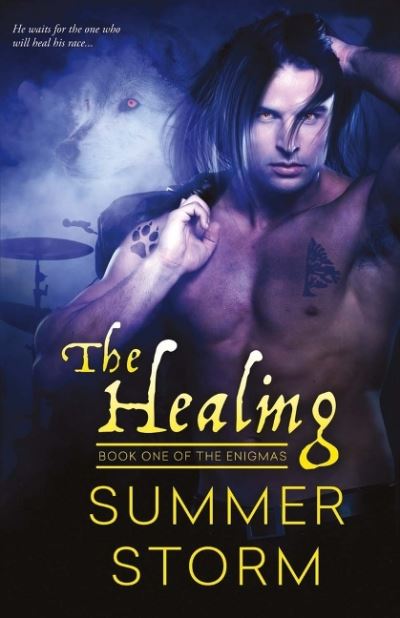 Cover for Summer Storm · The Healing (Pocketbok) (2016)