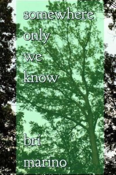 Cover for Bri Marino · Somewhere Only We Know (Taschenbuch) (2016)