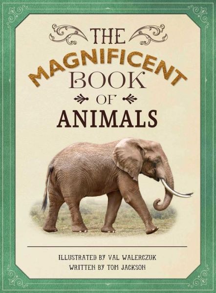 Cover for Tom Jackson · The Magnificent Book of Animals (Hardcover Book) (2017)