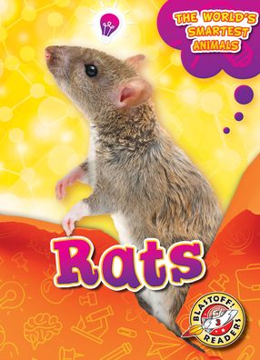 Cover for Joanne Mattern · Rats (Book) (2020)