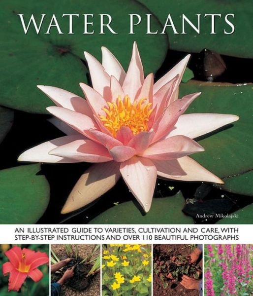 Cover for Andrew Mikolajski · Water Plants: An Illustrated Guide to Varieties, Cultivation and Care, with Step-by-step Instructions and Over 110 Beautiful Photographs (Paperback Book) (2013)