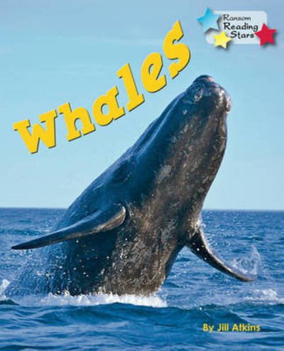Cover for Atkins Jill · Whales - Reading Stars (Paperback Book) (2019)