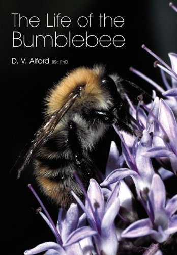 The Life of the bumblebee - D V Alford - Kirjat - Northern Bee Books - 9781904846420 - maanantai 28. syyskuuta 2009