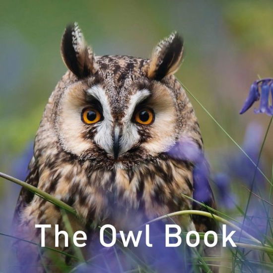 Cover for Jane Russ · Nature Book Series, The: The Owl Book (Hardcover bog) (2020)