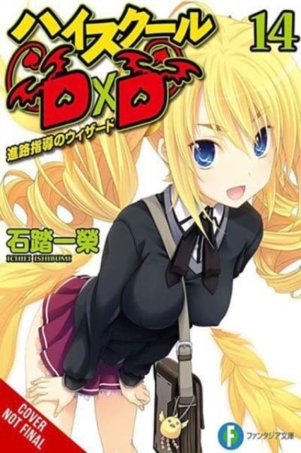 High School DxD, Vol. 14 (light novel) - HIGH SCHOOL DXD LIGHT NOVEL SC - Ichiei Ishibumi - Books - Little, Brown & Company - 9781975350420 - August 20, 2024