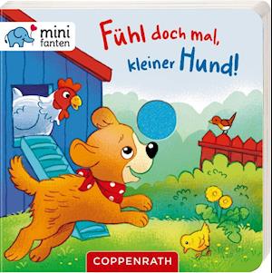 Cover for Hartmut Bieber · Minifanten 25: Fühl Doch Mal, Kleiner Hund! (Board book) (2020)