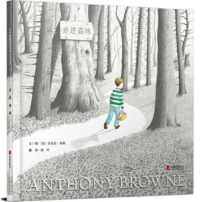 Cover for Anthony Browne · Into the Forest (Hardcover Book) (2020)