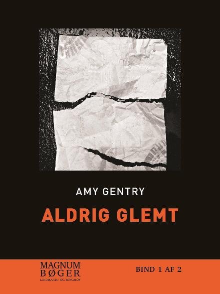 Cover for Amy Gentry · Aldrig glemt (Sewn Spine Book) [1th edição] (2017)