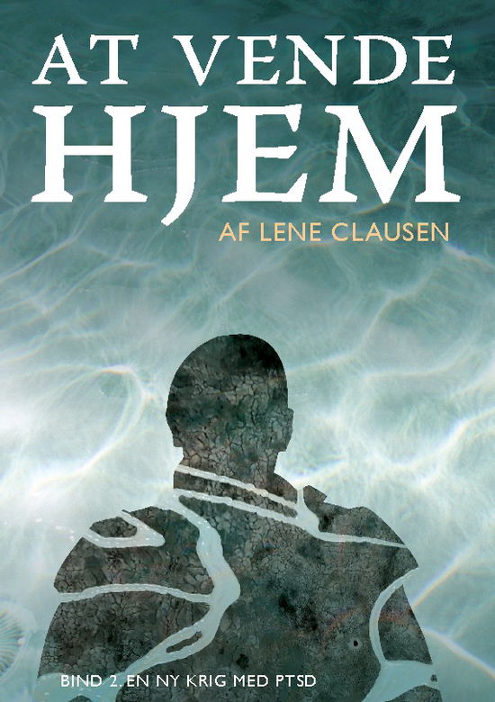 Cover for Lene Clausen · At vende hjem (Hardcover Book) [1st edition] (2024)