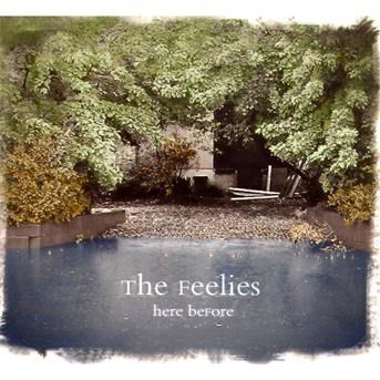 Here Before - Feelies - Muziek - BAR/NONE RECORDS - 0032862020421 - 9 juni 2011