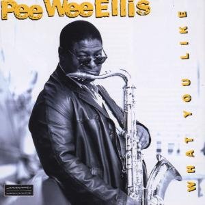 Cover for Pee Wee Ellis · What You Like (CD) (2003)