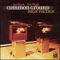 Cover for Common Ground · High Voltage (CD) (2005)