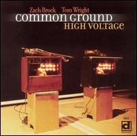High Voltage - Common Ground - Musik - Delmark Records - 0038153056421 - 7. Juni 2005