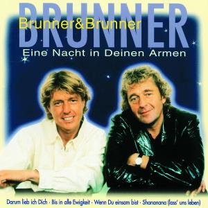 Cover for Brunner &amp; Brunner · Eine Nacht in Deinen Armen (CD) (2001)