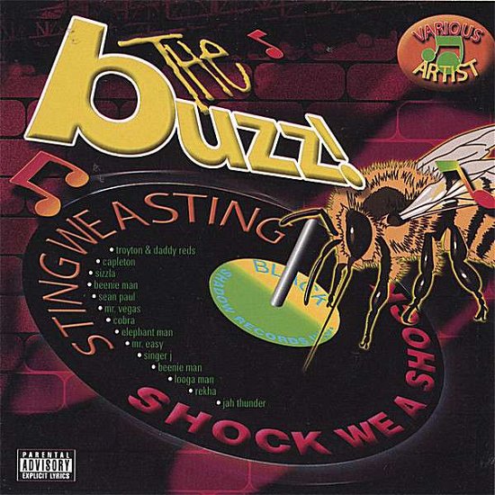 Cover for Various Artist · Buzz Riddim (CD)