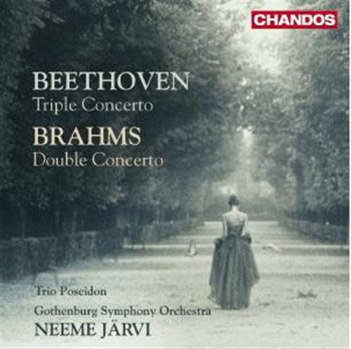 Cover for Beethoven / Brahms · Triple Concerto / Double Concerto (CD) (2010)