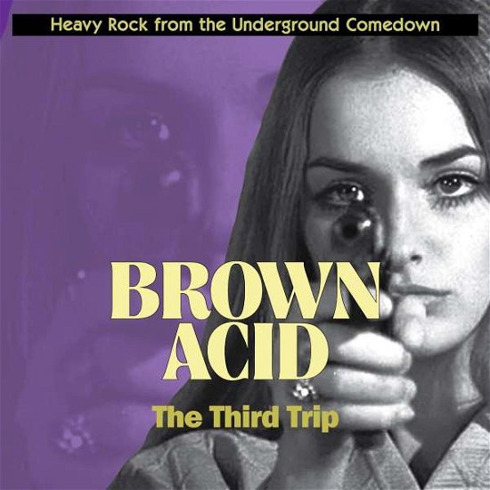 Cover for Brown Acid: Third Trip / Various (CD) (2016)